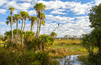 Walton County Tourism Offers Complimentary Day-Use Admission