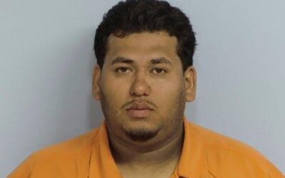 Man Arrested for Animal Cruelty After Leaving Small Dog in Hot Car