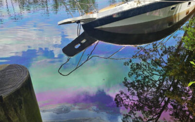 Diesel Spill at Portland Landing at Alaqua Creek