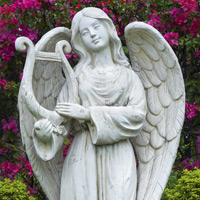 Diane Janice Crane