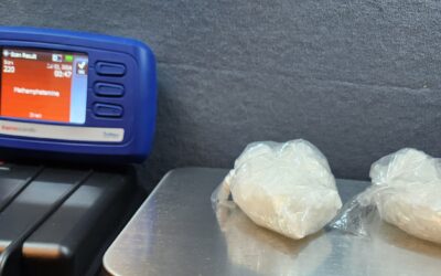 WCSO Vice/Narcotics Investigation Nets 300 Grams of Meth; One Facing Trafficking Charges