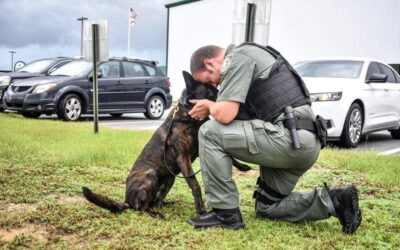 WCSO Announces Passing of Beloved Retired K-9 “Drago”