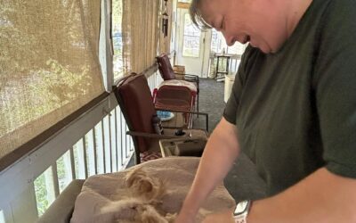 Leading By Example – Another Reason We Are Glad to Call Walton Home