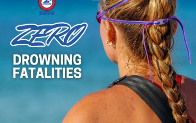 2025 Beach Safety Season:  By the Numbers